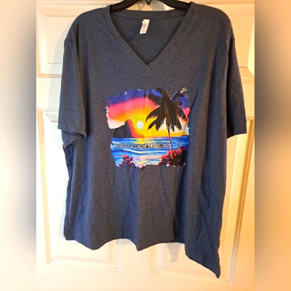 3X V neck Tshirt